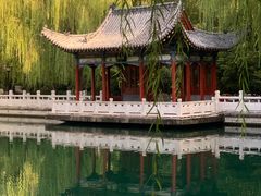 -金春禧(世茂国际广场店)
