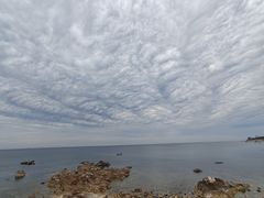 -海岛日记(养马岛店)