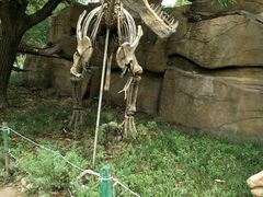 -西安秦岭野生动物园