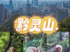 -黔灵山公园