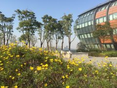 -上海滴水湖皇冠假日酒店