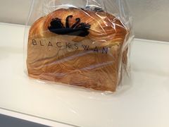 -BLACKSWAN黑天鹅(环球店)