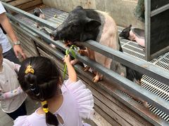 -北京鹿世界主题园