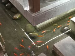-蓉城老妈火锅(双林路店)