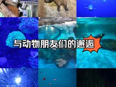 -海合安武汉极地海洋公园