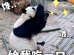 -青藏高原野生动物园