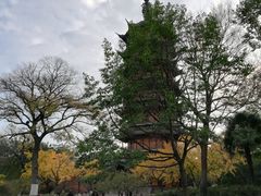 -红梅公园