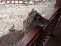 -西安秦岭野生动物园