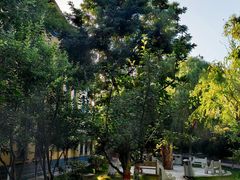 -新疆医科大学第一附属医院