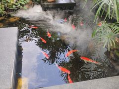 -观海半岛宴·湛江菜(海上世界店)