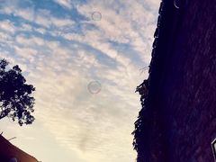 -聚香斋(东关街店)