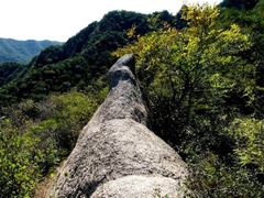 -大岭沟猕猴桃谷风景区