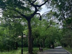-北陵公园
