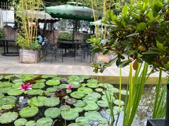 -新竹里馆·花园餐厅(兴苑路店)