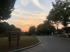 -尚贤河湿地