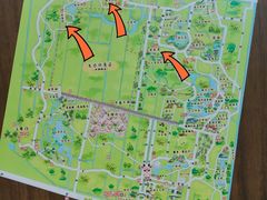-东平国家森林公园