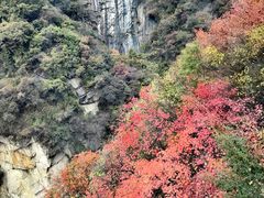 -少华山国家森林公园