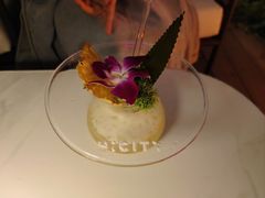 -Hi City·城市之巅