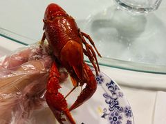 麻辣小龙虾-簋街老徐龙虾馆(簋街总店)