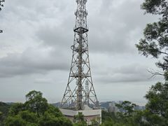-板樟山森林公园