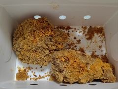 -肯德基(安定门店)