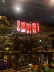 -卡通尼·Safari非洲探索乐园·生日会(金桥国际商业广场店)