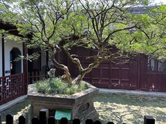 -水绘园