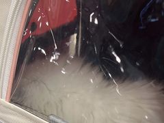 -瑞派康怡24h宠物医院·犬猫医疗中心·微创绝育(瑞景分院)