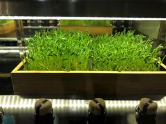 -旺顺阁海鲜广场(亚运村店)