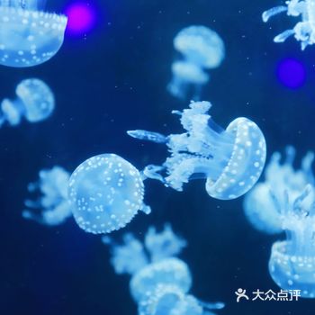 这里也是亲子游项目首选的目的地