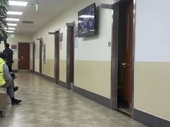 -美联众合动物医院·24h转诊中心