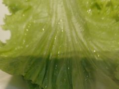 -蒙都43°9羊火锅·赤峰美食(宁城店)