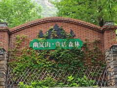 -幽岚山·童话森林