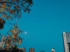 -何师烧烤Pro ·江湖川菜·小龙虾·精酿(太古里旗舰店)