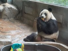 -海南热带野生动植物园