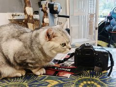 -平行世界·猫咖(首经贸店)