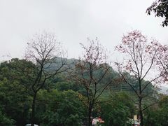 -礼耕堂·百年茶人餐厅(梅家坞店)