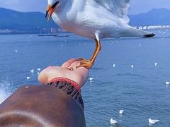 -滇池海埂公园