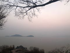 -上海市保健医疗中心