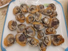 白灼血蛤-渔中舟海鲜大排档(普陀沈家门店)