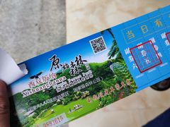 -西双版纳原始森林公园