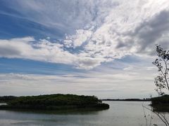 -丁香湖公园