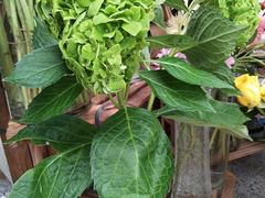 -小海豚国际游泳培训中心(浦东塘桥店)