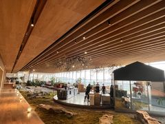 -Seesaw Coffee(朝阳大悦城店)