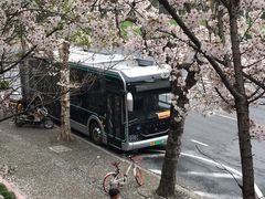 -上海南浦大桥长途旅游客运站