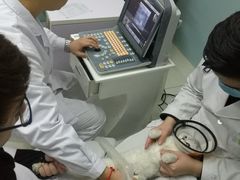 -中农大我爱我爱24h动物医院·中医针灸·猫专科·骨科医疗中心(双井店)