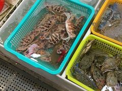 -老字号蛇口德记烧腊饭店·海鲜加工