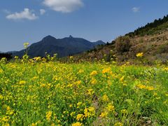 -千泷沟大瀑布旅游区