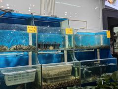 -盈田盈粥庄(博山东路店)