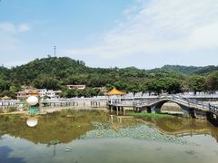 -红山村